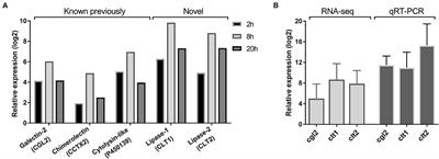 Cytoplasmic Lipases—A Novel Class of Fungal Defense Proteins Against Nematodes